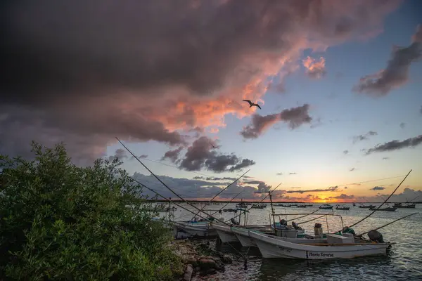 Yucatan, Meksika 'da kırmızı bulutlar ve mavi gökyüzü ile güzel gün batımı