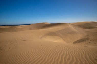 İspanya, Kanarya Adaları, Gran Kanarya 'daki Maspalomas kumullarında yürüyen kimliği belirsiz bir kadın.