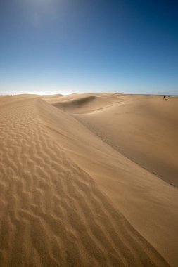 Gran Kanarya, Kanarya Adaları, İspanya 'daki Maspalom tepeleri