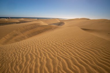 Gran Kanarya, Kanarya Adaları, İspanya 'daki Maspalom tepeleri