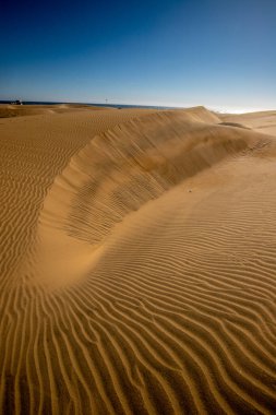 Gran Kanarya, Kanarya Adaları, İspanya 'daki Maspalom tepeleri