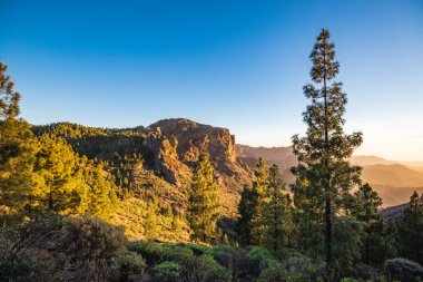 Dağ ve manzara manzarası, İspanya 'nın Gran Kanarya adasındaki Roque Nublo parkında gün batımı