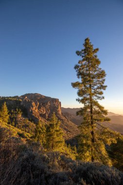 Dağ ve manzara manzarası, İspanya 'nın Gran Kanarya adasındaki Roque Nublo parkında gün batımı