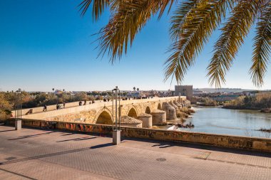 Otomi Tören Merkezi 'nin havadan görünüşü, Meksika' da heykellerle dolu anıtsal bir kompleks.
