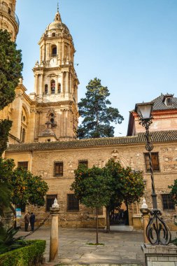 Malaga, İspanya 'nın Enkarnasyon Katedrali