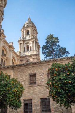Malaga, İspanya 'nın Enkarnasyon Katedrali