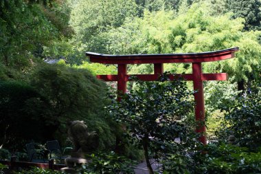 Karlsruhe Zooloji Bahçesindeki Japon Botanik Bahçesi güneşli bir günde Almanya 'da