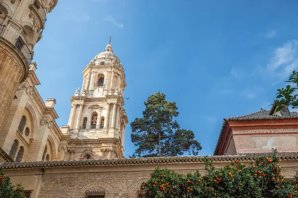 Malaga, İspanya 'nın Enkarnasyon Katedrali