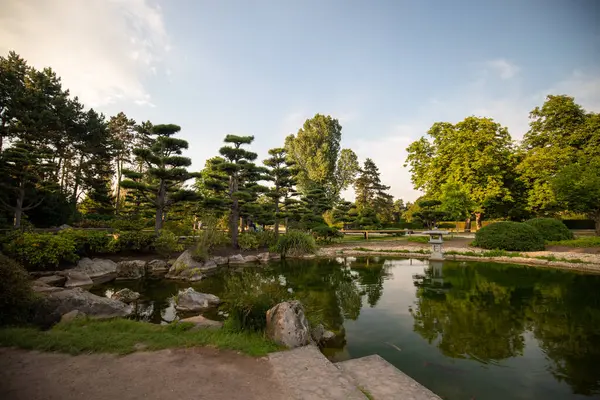 Düsseldorf, Almanya 'da Nordpark' ta balık havuzlu Japon bahçeleri