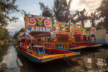 Trajineras Xochimilco, Meksika 'da tekne turları ve mariachi müziğiyle dolu bir kanalın turistik bölgesi.