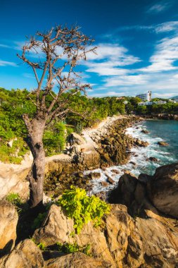 Puerto Escondido ana plajı Oaxaca, Meksika 'da güneşli bir günde