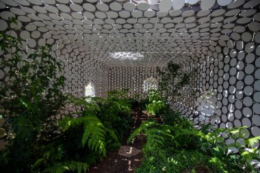 Kapalı alan bahçesi: yeşil bitkiler, doğal ışık, sessiz ve ferahlatıcı çevre.