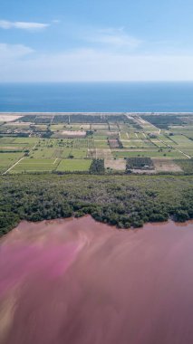 Oaxaca 'daki Manialtepec gölü Ekim 2019' da Puerto Escondido, Meksika yakınlarında pembeye boyandı.