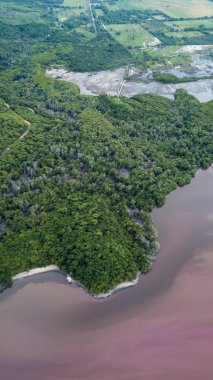 Oaxaca 'daki Manialtepec gölü Ekim 2019' da Puerto Escondido, Meksika yakınlarında pembeye boyandı.