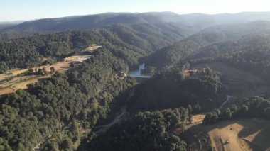 Ormanın üzerinden insansız hava aracı uçuşu, Ekolojik Park, Meksika. Manzaranın panoramik görüntüsü
