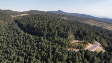Ormanın üzerinden insansız hava aracı uçuşu, Ekolojik Park, Meksika. Manzaranın panoramik görüntüsü