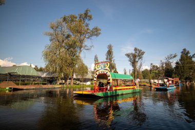 Trajineras Xochimilco, Meksika 'da tekne turları ve mariachi müziğiyle dolu bir kanalın turistik bölgesi.
