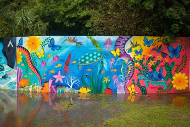 Mazunte, Oaxaca, Meksika 'daki Meksika Kaplumbağa Merkezi' ndeki duvar resmi