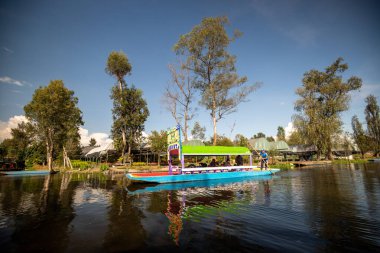 Trajineras Xochimilco, Meksika 'da tekne turları ve mariachi müziğiyle dolu bir kanalın turistik bölgesi.