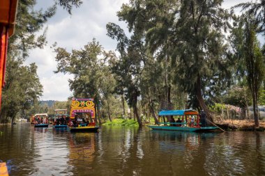 Trajineras Xochimilco, Meksika 'da tekne turları ve mariachi müziğiyle dolu bir kanalın turistik bölgesi.