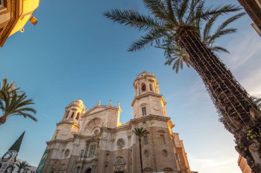 İspanya, Cadiz 'in Kutsal Haçı Katedrali