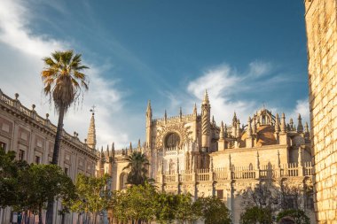 Önünde portakal ağaçları olan Sevilla Katedrali manzarası