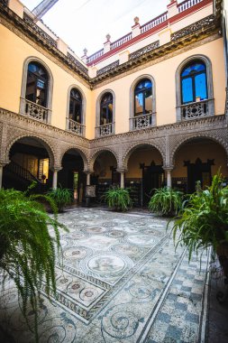 Palmiye ağaçları, saksıları ve sütunları olan iç avlu, Sevilla, İspanya