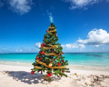 Kumlu Karayip sahilinde Noel ağacı