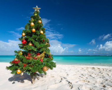 Kumlu Karayip sahilinde Noel ağacı