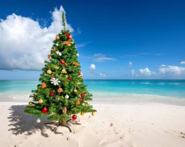 Kumlu Karayip sahilinde Noel ağacı