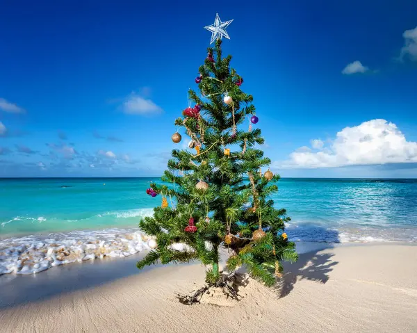 Kumlu Karayip sahilinde Noel ağacı