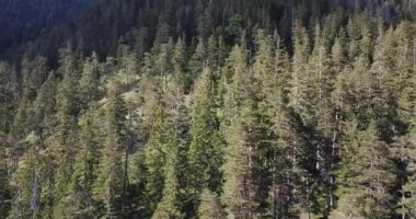 Hava görüntüsü, Hoher Ziegspitz üzerinde İHA uçuşu, Almanya Bayern 'deki dağlar.