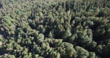 Hava görüntüsü, Hoher Ziegspitz üzerinde İHA uçuşu, Almanya Bayern 'deki dağlar.