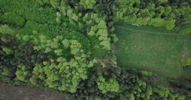 Hava görüntüsü, bir orman üzerinde İHA uçuşu ve Almanya Bayern 'deki Staffelsee' de arka planda Alpler.