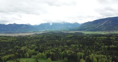 Hava görüntüsü, bir orman üzerinde İHA uçuşu ve Almanya Bayern 'deki Staffelsee' de arka planda Alpler.