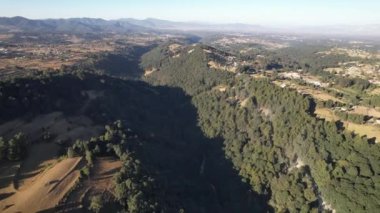 Ormanın üzerinden insansız hava aracı uçuşu, Ekolojik Park, Meksika. Manzaranın panoramik görüntüsü