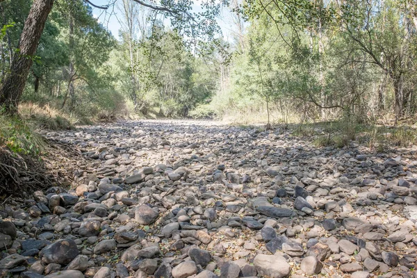 completely dry riverbed, drought problem, global warming and climate change, lack of rainfall, desertification, boulders or pebbles in a dry river bed, vertical