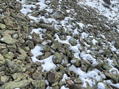 rocky mountainside with stones with lichens and partially covered with snow, horinzontal