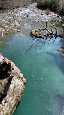  Arka planda karla kaplı dağlarla vadinin içinden bir dağ nehri akıyor, ön planda kuru bir kütük, dikey.