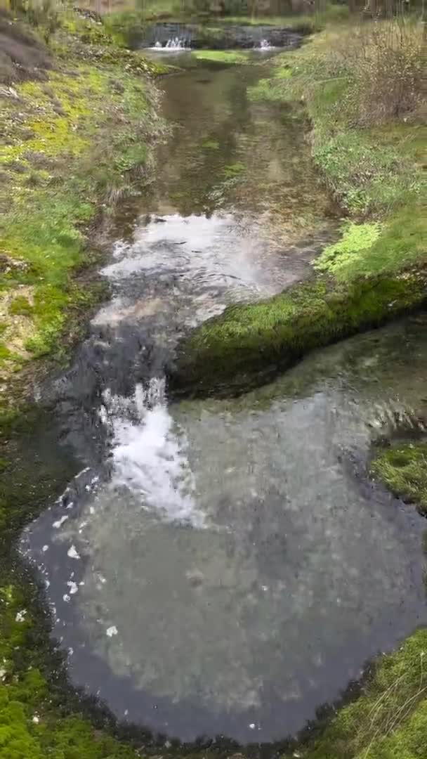 Une Petite Rivière Montagne Aux Eaux Pures Cristallines Coule Calmement — Video
