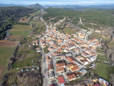 Casarejos köyünün havadan görüntüsü Soria, Castilla y Leon, İHA manzaralı küçük bir kırsal köy, çam ormanlarıyla çevrili bölgesel bir yol, kırsal alanların nüfus azalması, İspanya 'nın boşaltılması,