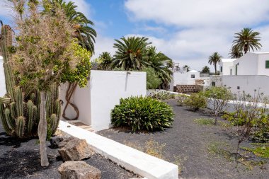 Haria sokakları ve bahçeleri, tipik Lanzarote köyü, beyaz evleri ve otonom kaktüs bitkisi ve Kanarya Adaları 'ndaki palmiye ağaçları, yatay
