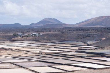 Kanarya Adaları 'ndaki Lanzarote adasının volkanik manzaralı Janubio Tuz Düzlükleri' nin buharlaşma göletleri veya kristalizatörleri.