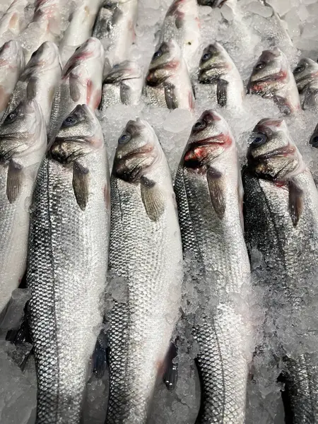 Balık pazarı vitrinini kapatıyoruz. Taze yakalanmış deniz kabuğu, dikey korunmak için toz buzla kaplanmış.