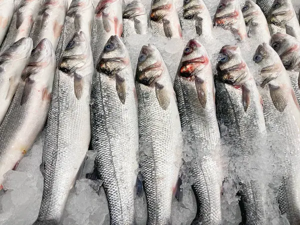 Balık pazarı vitrinini kapatıyoruz. Taze yakalanmış deniz kabuğu korunmak için toz buzla kaplanıyor.