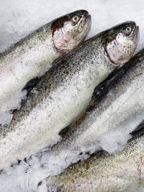 Yeni yakalanmış gökkuşağı alabalığının bulunduğu balık pazarı vitrininin önünde dikey ve tozlu buzla kaplı.