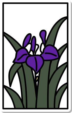 Etiket stili Hanafuda Iris, Moriwa, Satsuki, May, Iris süprüntüleri