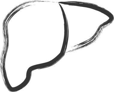 Tıbbi kaligrafi ile ilgili tek parça çizim karaciğeri