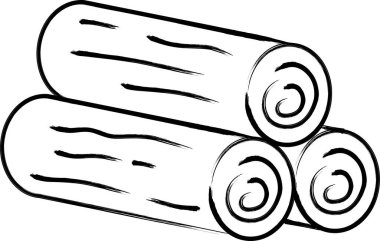 Fırça kampı araç kaydı