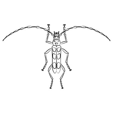 Fırça darbeli böcek tek öge simgesi Mavi kanatlı uzun boynuz böceği